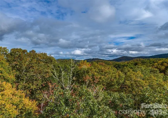 5th image of 99999 Caddis Ln #91, Horse Shoe, NC 28742 | MLS# 4404169