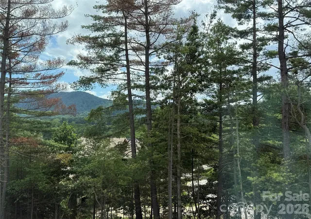 2nd image of 234 Smokey Holler Dr, Asheville, NC 28803 | MLS# 4404303