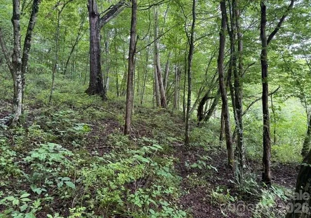 Photo 1 of Land for sale at Tbd Meadow Frk Rd, Hot Springs, NC 28743 | MLS# 4404338 | Listing updated on 2026-07-15