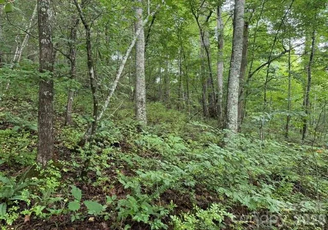 Photo 2 of Land for sale at Tbd Meadow Frk Rd, Hot Springs, NC 28743 | MLS# 4404338 | Listing updated on 2026-07-15