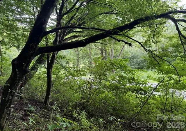 Photo 3 of Land for sale at Tbd Meadow Frk Rd, Hot Springs, NC 28743 | MLS# 4404338 | Listing updated on 2026-07-15