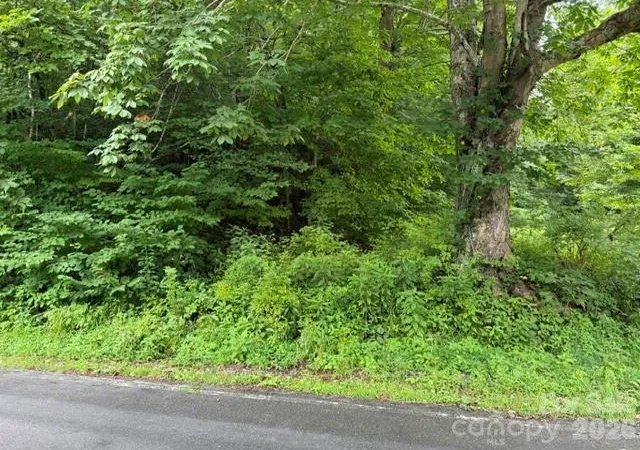 Photo 4 of Land for sale at Tbd Meadow Frk Rd, Hot Springs, NC 28743 | MLS# 4404338 | Listing updated on 2026-07-15