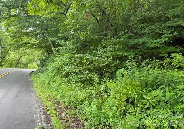 Photo 5 of Land for sale at Tbd Meadow Frk Rd, Hot Springs, NC 28743 | MLS# 4404338 | Listing updated on 2026-07-15