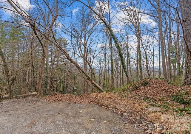 Photo 4 of Land for sale at 99999 Sunset Dr, Asheville, NC 28804 | MLS# 4404363 | Listing updated on 2026-07-15