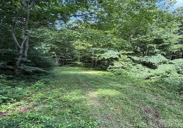 2nd image of 106 Avalon Gap Trl, Waynesville, NC 28785 | MLS# 4404369