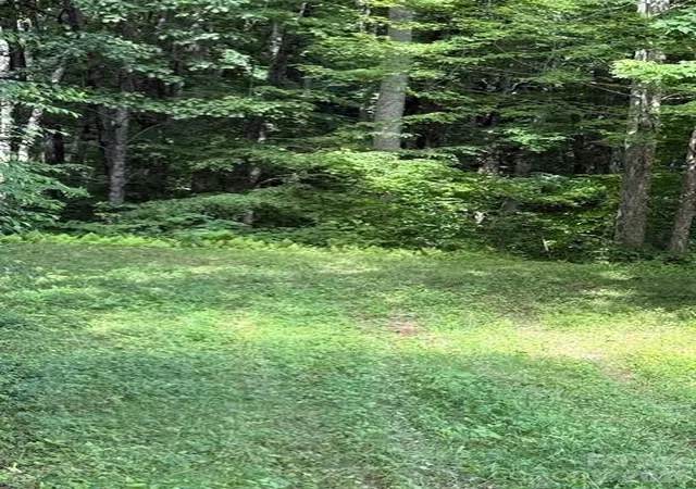 Photo 3 of Land for sale at 106 Avalon Gap Trl, Waynesville, NC 28785 | MLS# 4404369 | Listing updated on 2026-08-18
