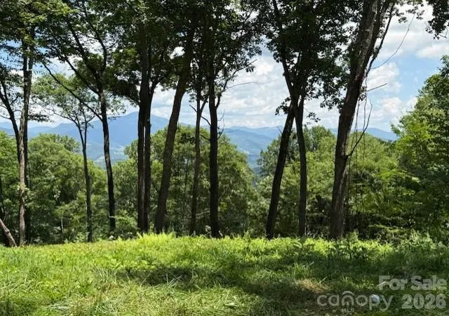 Photo 3 of Land for sale at 110 Cabin Ridge #110, Clyde, NC 28721 | MLS# 4404376 | Listing updated on 2026-08-18