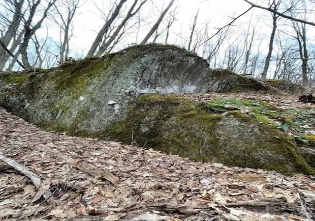 Photo 3 of Land for sale at 110 Cabin Ridge #110, Clyde, NC 28721 | MLS# 4404376 | Listing updated on 2026-08-18