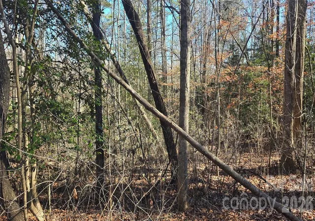 Photo 3 of Land for sale at 000 Peak Pl Nw, Lenoir, NC 28645 | MLS# 4404427 | Listing updated on 2026-07-27