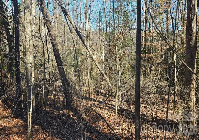 Photo 4 of Land for sale at 000 Peak Pl NW, Lenoir, NC 28645 | MLS# 4404427 | Listing updated on 2026-07-27