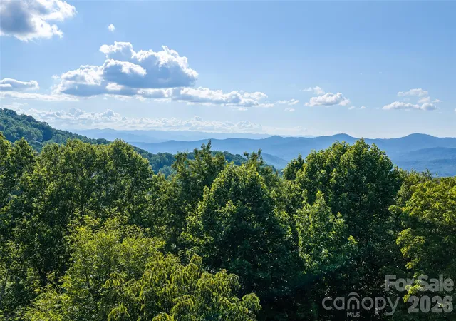 Photo 3 of Land for sale at 1043 Moss Crk Ln #69, Swannanoa, NC 28778 | MLS# 4404482 | Listing updated on 2026-08-26