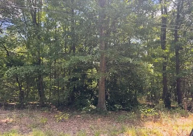 2nd image of 00 Nope Ln, Lancaster, SC 29720 | MLS# 4404676