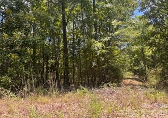 3rd image of 00 Nope Ln, Lancaster, SC 29720 | MLS# 4404676