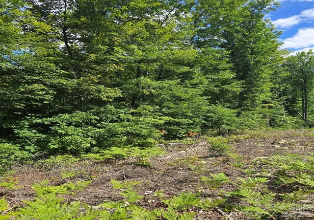 Photo 1 of Land for sale at 0000 Nancy Mountain Rd, Rosman, NC 28772 | MLS# 4404708 | Listing updated on 2026-08-19