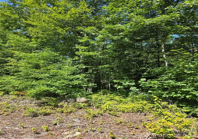 Photo 38 of Land for sale at 0000 Nancy Mountain Rd, Rosman, NC 28772 | MLS# 4404708 | Listing updated on 2026-08-19