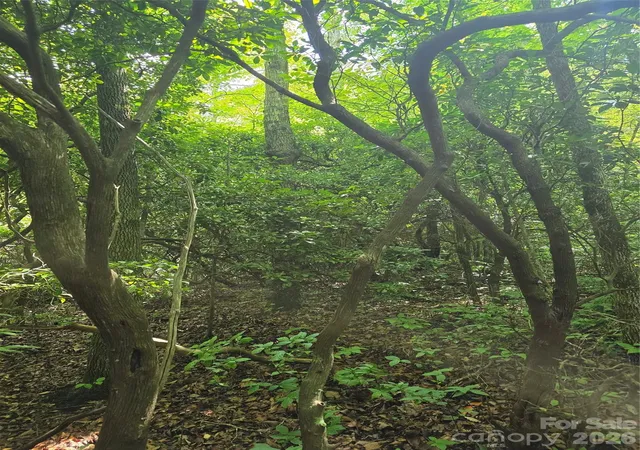 Photo 5 of Land for sale at 0000 Nancy Mountain Rd, Rosman, NC 28772 | MLS# 4404708 | Listing updated on 2026-08-19