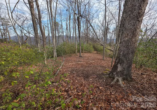 Photo 2 of Land for sale at Lot 45 Ridgecrest Dr, Lake Lure, NC 28746 | MLS# 4404720 | Listing updated on 2026-09-05