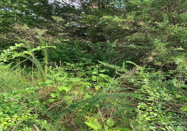 Photo 5 of Land for sale at 0 Rock House Rd, Blacksburg, SC 29702 | MLS# 4404738 | Listing updated on 2026-07-19