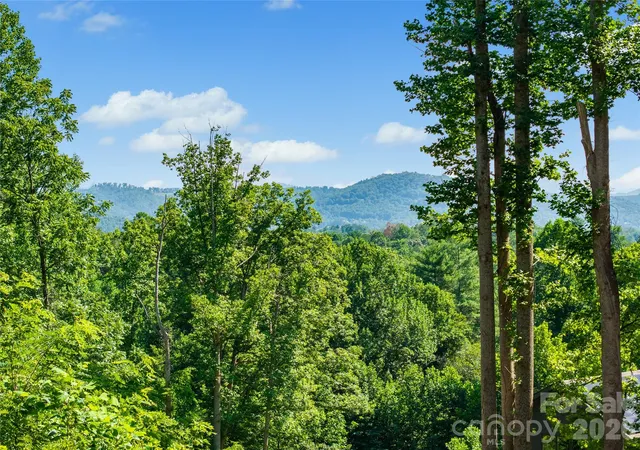 1st image of 51 Wind Stone Dr, Asheville, NC 28804 | MLS# 4404740
