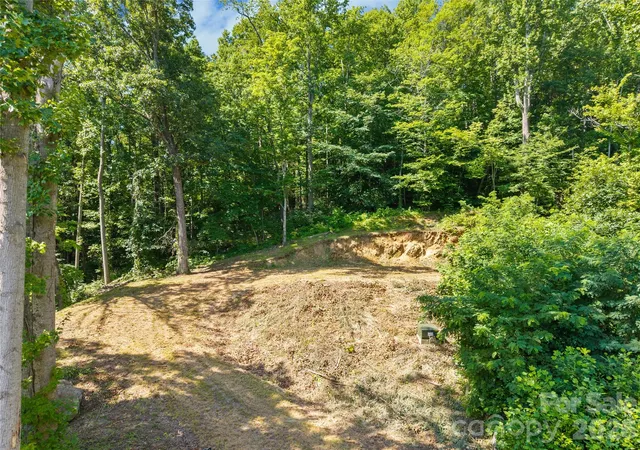 Photo 4 of Land for sale at 51 Wind Stone Dr, Asheville, NC 28804 | MLS# 4404740 | Listing updated on 2026-07-24