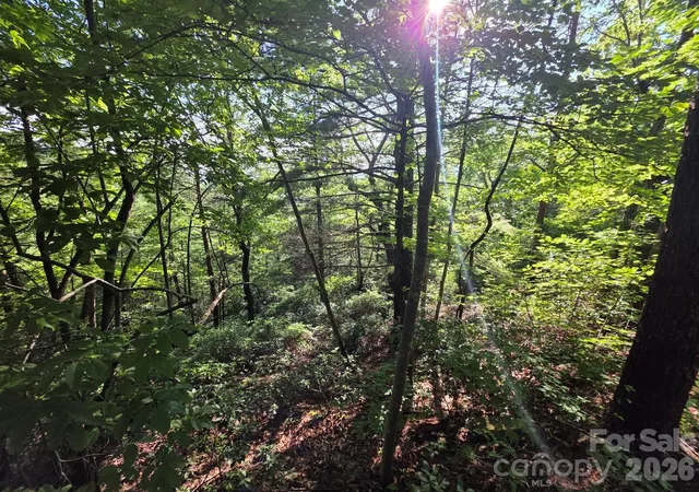 Photo 2 of Land for sale at Lot 72 Fawn Ln, Marion, NC 28752 | MLS# 4404742 | Listing updated on 2026-10-01