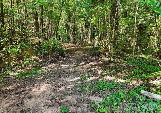 Photo 3 of Land for sale at 000 Pinehaven Dr #189, New London, NC 28127 | MLS# 4404759 | Listing updated on 2026-09-23