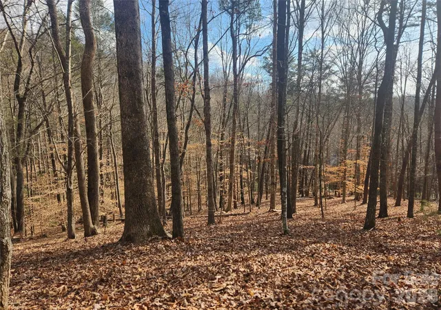 Photo 1 of Land for sale at Lot 83 Walnut Ln, Lake Lure, NC 28746 | MLS# 4404825 | Listing updated on 2026-07-16