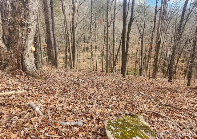 Photo 2 of Land for sale at Lot 83 Walnut Ln, Lake Lure, NC 28746 | MLS# 4404825 | Listing updated on 2026-07-16