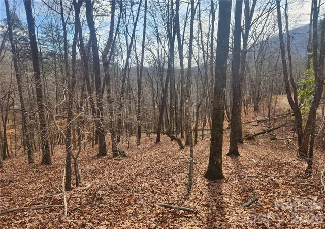 Photo 3 of Land for sale at Lot 83 Walnut Ln, Lake Lure, NC 28746 | MLS# 4404825 | Listing updated on 2026-07-16
