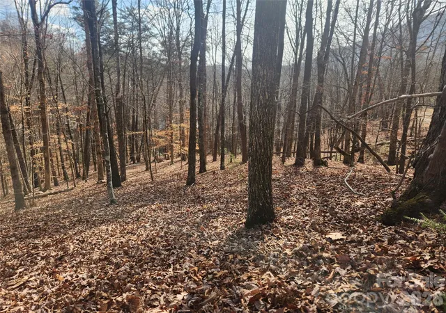 Photo 3 of Land for sale at Lot 83 Walnut Ln, Lake Lure, NC 28746 | MLS# 4404825 | Listing updated on 2026-07-16
