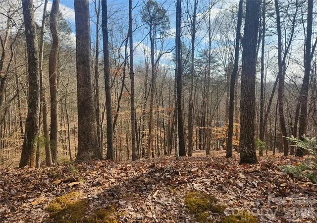 Photo 4 of Land for sale at Lot 83 Walnut Ln, Lake Lure, NC 28746 | MLS# 4404825 | Listing updated on 2026-07-16