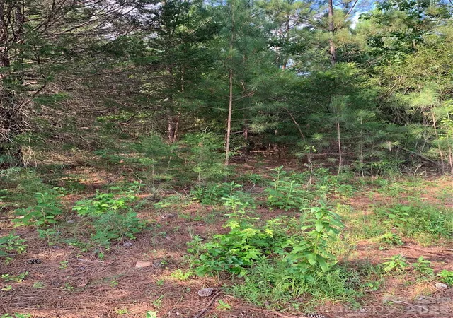Photo 5 of Land for sale at 0 Rock House Rd, Blacksburg, SC 29702 | MLS# 4404857 | Listing updated on 2026-07-19