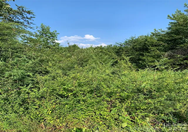 Photo 3 of Land for sale at 0 Rock House Rd, Blacksburg, SC 29702 | MLS# 4404871 | Listing updated on 2026-09-22