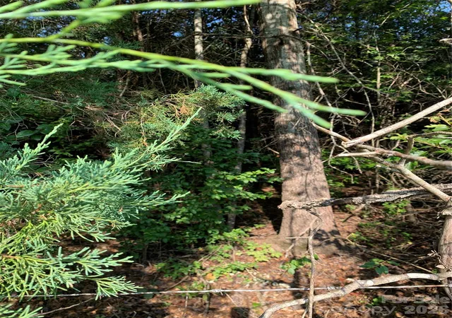 Photo 3 of Land for sale at 0 Rock House Rd, Blacksburg, SC 29702 | MLS# 4404871 | Listing updated on 2026-09-22