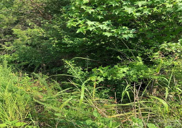 Photo 4 of Land for sale at 0 Rock House Rd, Blacksburg, SC 29702 | MLS# 4404871 | Listing updated on 2026-09-22