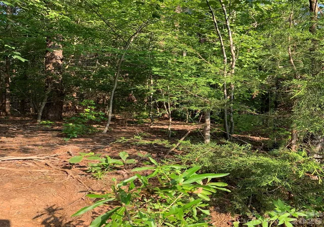 Photo 8 of Land for sale at 0 Rock House Rd, Blacksburg, SC 29702 | MLS# 4404871 | Listing updated on 2026-07-19