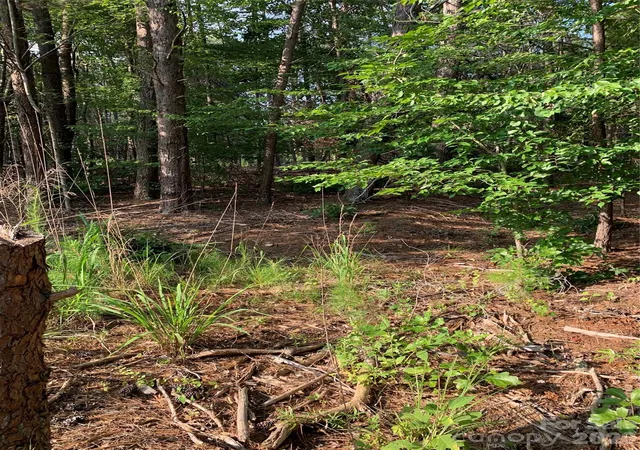 Photo 5 of Land for sale at 0 Rock House Rd, Blacksburg, SC 29702 | MLS# 4404883 | Listing updated on 2026-07-19