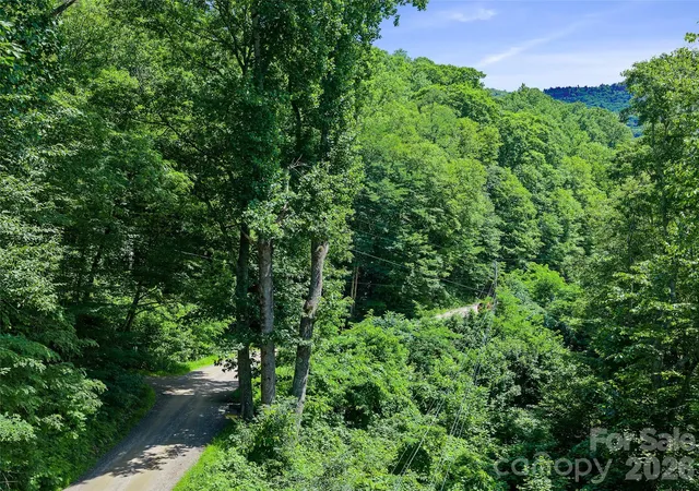 Photo 1 of Land for sale at 0000 Deep Gap Rd, Burnsville, NC 28714 | MLS# 4404955 | Listing updated on 2026-09-04