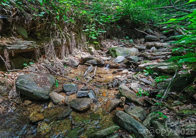 Photo 3 of Land for sale at 0000 Deep Gap Rd, Burnsville, NC 28714 | MLS# 4404955 | Listing updated on 2026-09-04