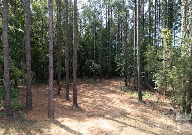 Photo 44 of Single family home for sale at 2902 Peden Brg Rd, Richburg, SC 29729 | MLS# 4404992 | Listing updated on 2026-08-26