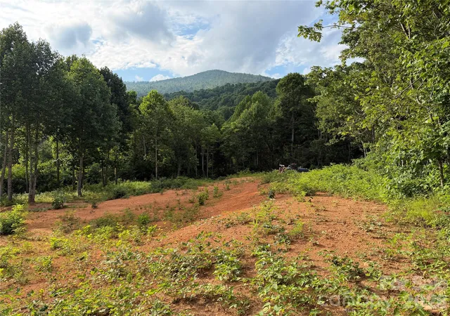 Photo 4 of Land for sale at 99999 Tipton Ln, Bakersville, NC 28705 | MLS# 4404999 | Listing updated on 2026-09-04