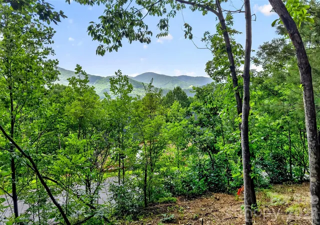 Photo 2 of Land for sale at 16 Nellie Bell Ln, Swannanoa, NC 28778 | MLS# 4405124 | Listing updated on 2026-09-30