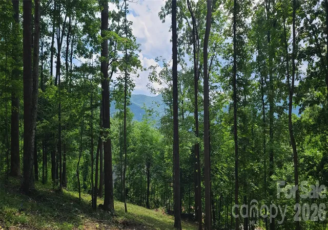 Photo 4 of Land for sale at 16 Nellie Bell Ln, Swannanoa, NC 28778 | MLS# 4405124 | Listing updated on 2026-09-30
