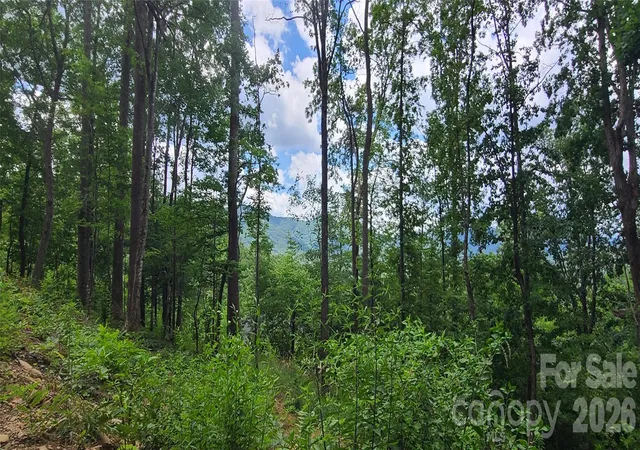 Photo 3 of Land for sale at 32 Nellie Bell Ln, Swannanoa, NC 28778 | MLS# 4405130 | Listing updated on 2026-09-30