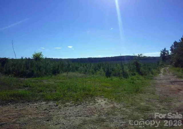 Photo 4 of Land for sale at 000 Hoodtown Rd, Sharon, SC 29742 | MLS# 4405140 | Listing updated on 2026-07-17