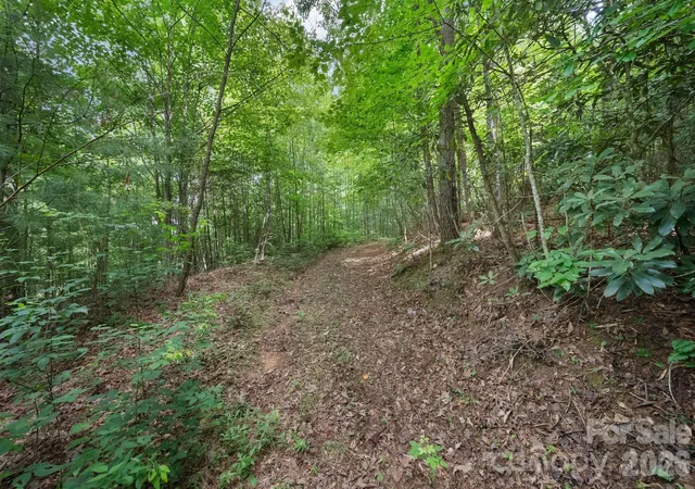 22nd image of 1408 Tellico Rd, Franklin, NC 28734 | MLS# 4405182