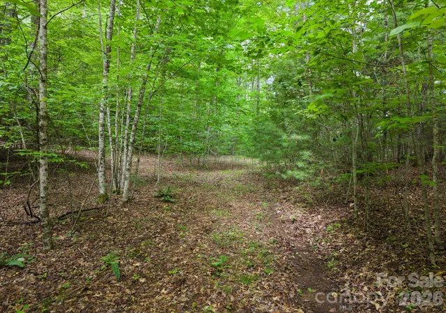 4th image of 1408 Tellico Rd, Franklin, NC 28734 | MLS# 4405182
