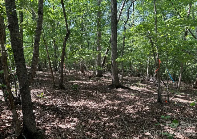 Photo 3 of Land for sale at 111 Peach Dr #333, Troy, NC 27371 | MLS# 4405232 | Listing updated on 2026-07-18