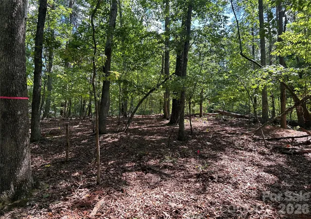 Photo 4 of Land for sale at 111 Peach Dr #333, Troy, NC 27371 | MLS# 4405232 | Listing updated on 2026-07-18