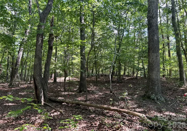 Photo 5 of Land for sale at 111 Peach Dr #333, Troy, NC 27371 | MLS# 4405232 | Listing updated on 2026-07-18